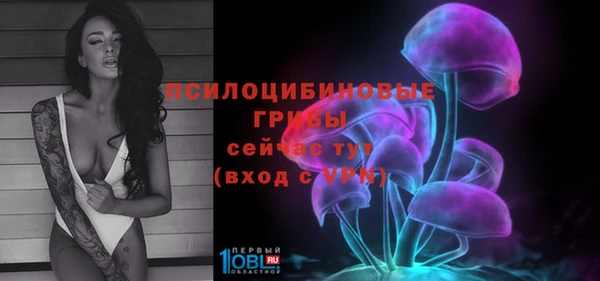 дживик Богородицк
