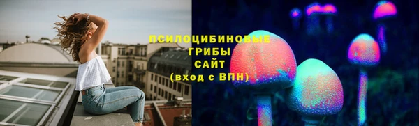 ешки Богданович