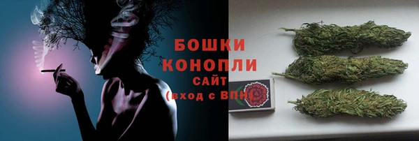 ешки Богданович