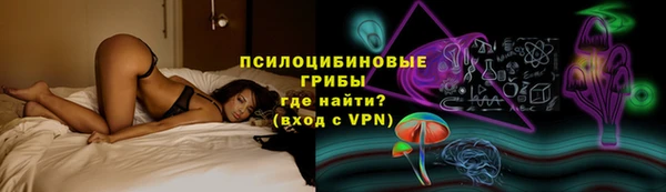 дживик Богородицк
