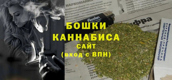 дживик Богородицк