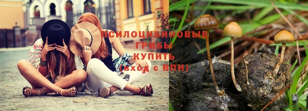 дживик Богородицк