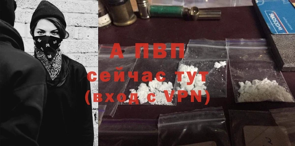 ешки Богданович
