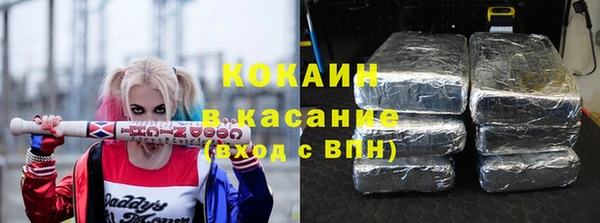 дживик Богородицк
